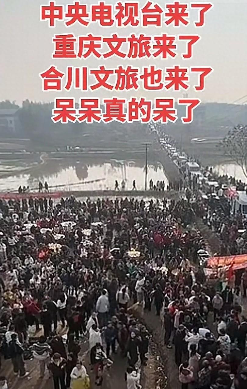 MK体育登录入口-央视车被堵外面，人民日报下场，白衬衫守护，呆呆成为历史第一人